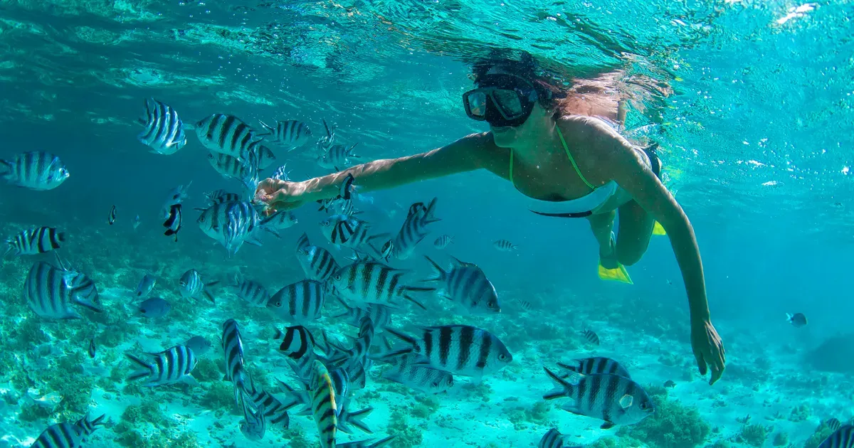 Snorkeling puertoplata - Caribe Explorer